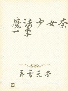 魔法少女奈叶第一季