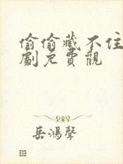 偷偷藏不住电视剧免费观