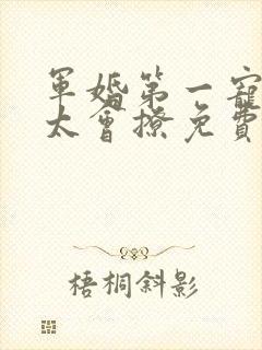 军婚第一宠首长太会撩免费阅读