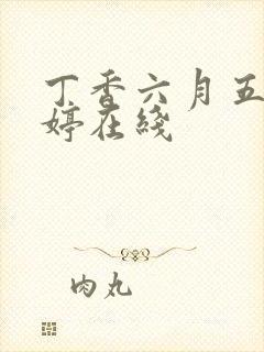 丁香六月五月婷婷在线