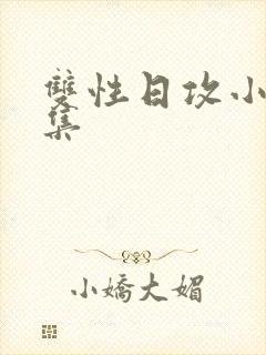 双性日攻小说合集封面