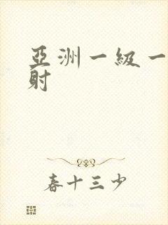 亚洲一级一片内射