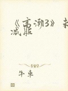 《高潮3》未删减版