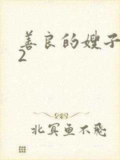 善良的嫂子韩剧2