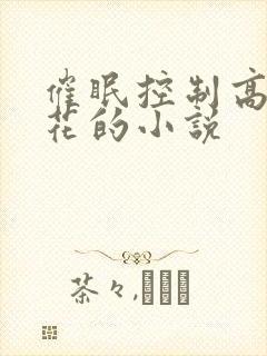 催眠控制高冷校花的小说