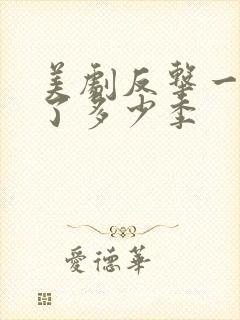 美剧反击一共出了多少季