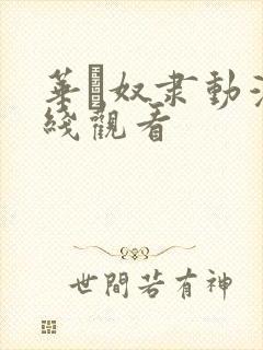 华·奴隶动漫在线观看