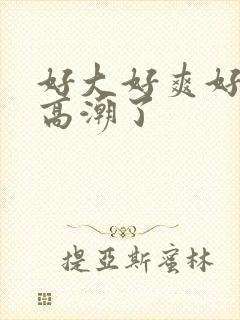 好大好爽好舒服高潮了