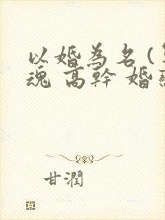 以婚为名 (军魂 高干 婚恋)封面