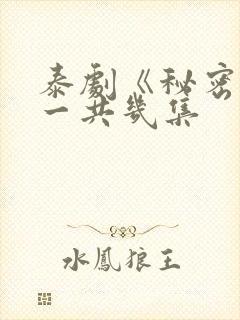 泰剧《秘密爱》一共几集封面