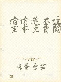 偷偷藏不住小说完本免费阅读