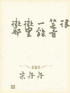 微微一笑很倾城哪里能看