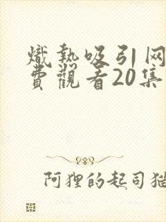 炽热吸引网剧免费观看20集