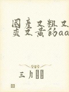 国产又粗又猛又爽又黄的aa