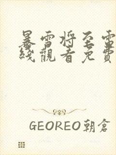 暴雪将至电影在线观看免费完整版