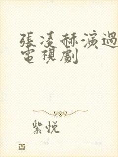 张凌赫演过什么电视剧封面