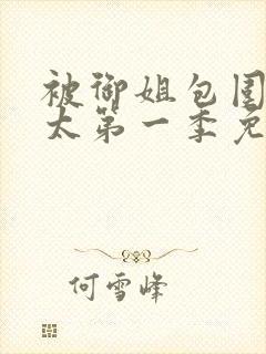 被御姐包围的正太第一季免费播放全集封面