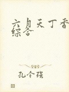 六月天丁香婷婷综合