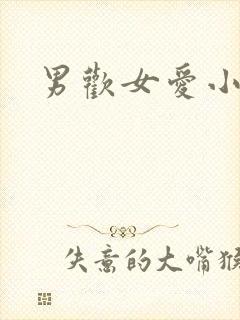男欢女爱小说封面