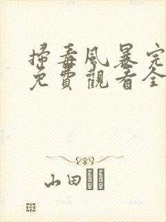 扫毒风暴完整版免费观看全集