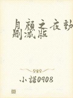 月颜之夜动漫未删减版封面