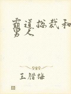 霸道总裁和他的男人