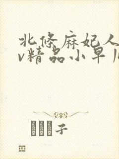 北条麻妃人妻av精品小早川怜子封面