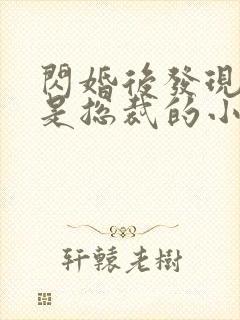 闪婚后发现老公是总裁的小说