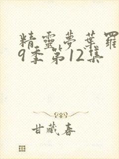 精灵梦叶罗丽第9季第12集