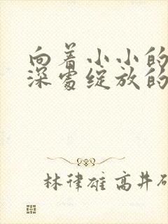 向着小小的花蕾深处绽放的花