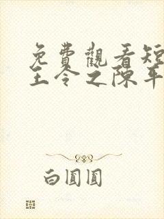 免费观看短剧龙王令之陈平殿主