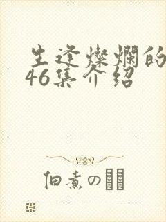 生逢灿烂的日子46集介绍