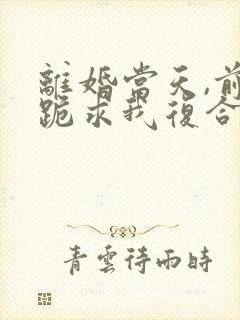 离婚当天,前夫跪求我复合短剧