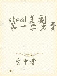 steal美剧第一季免费观看