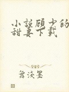小说顾少的替嫁甜妻下载