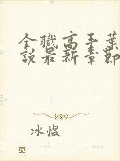 全职高手叶修小说最新章节下载