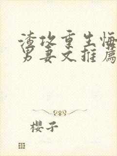 渣攻重生悔过宠男妻文推荐