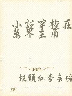 小说穿梭在诸天万界主角