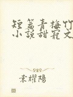 短篇青梅竹马的小说甜宠文