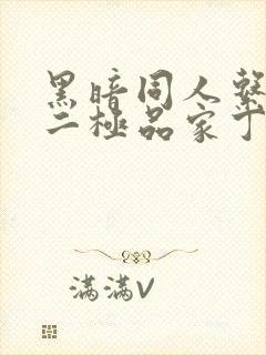 黑暗同人系列之二极品家丁