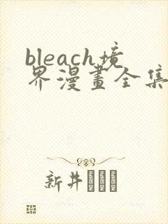 bleach境界漫画全集免费看封面