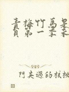 青梅竹马是消防员第一季未增删看封面