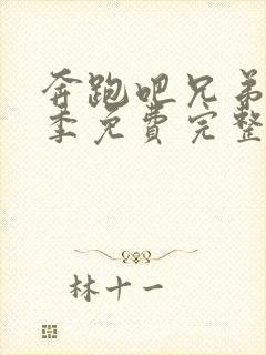 奔跑吧兄弟第九季免费完整版封面