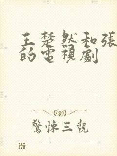 王楚然和张凌赫的电视剧