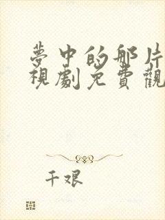 梦中的那片海电视剧免费观看.