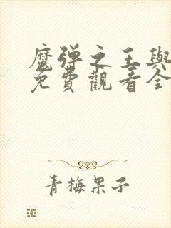 魔弹之王与战姬免费观看全集