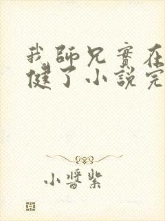 我师兄实在太稳健了小说完本