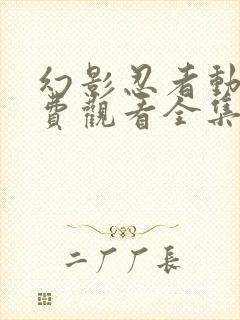 幻影忍者动漫免费观看全集在线