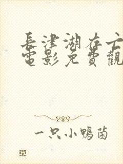 长津湖存亡之战电影免费观看