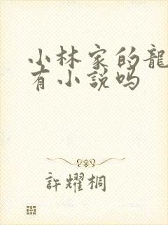 小林家的龙女仆有小说吗